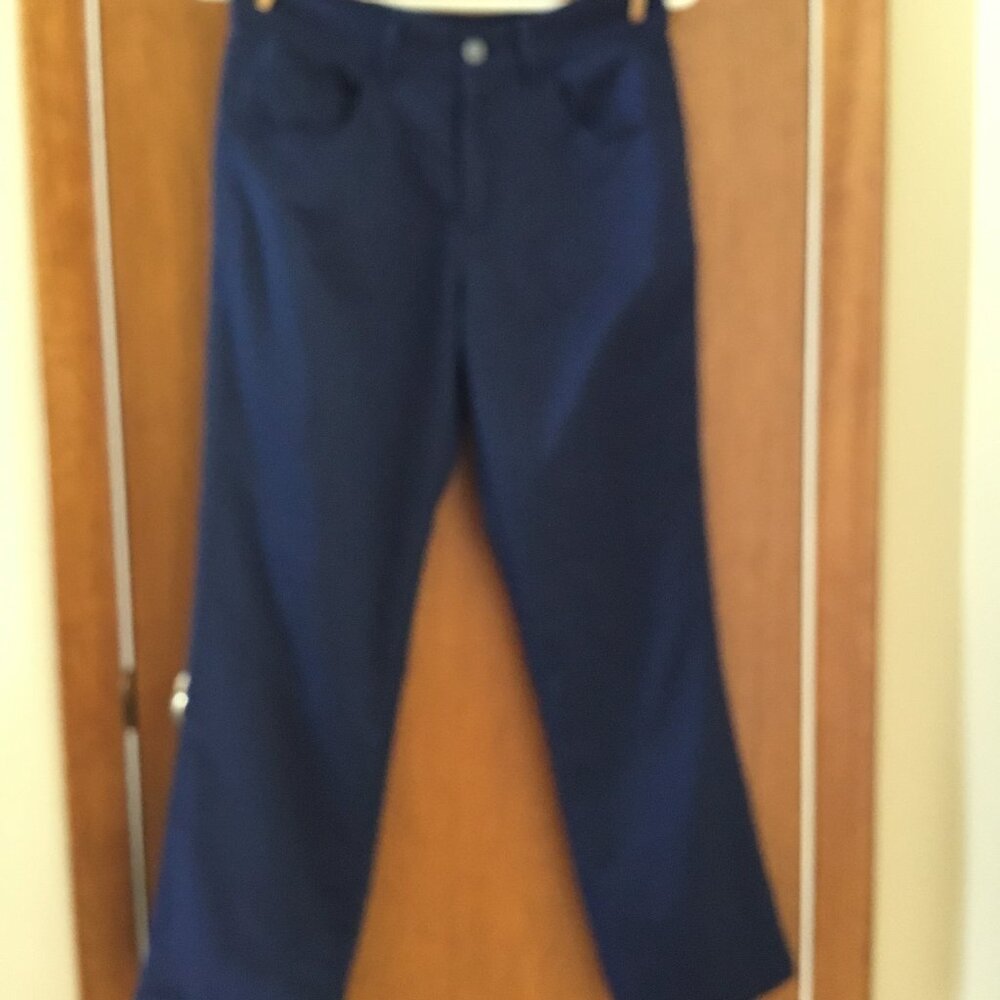 Dress pants